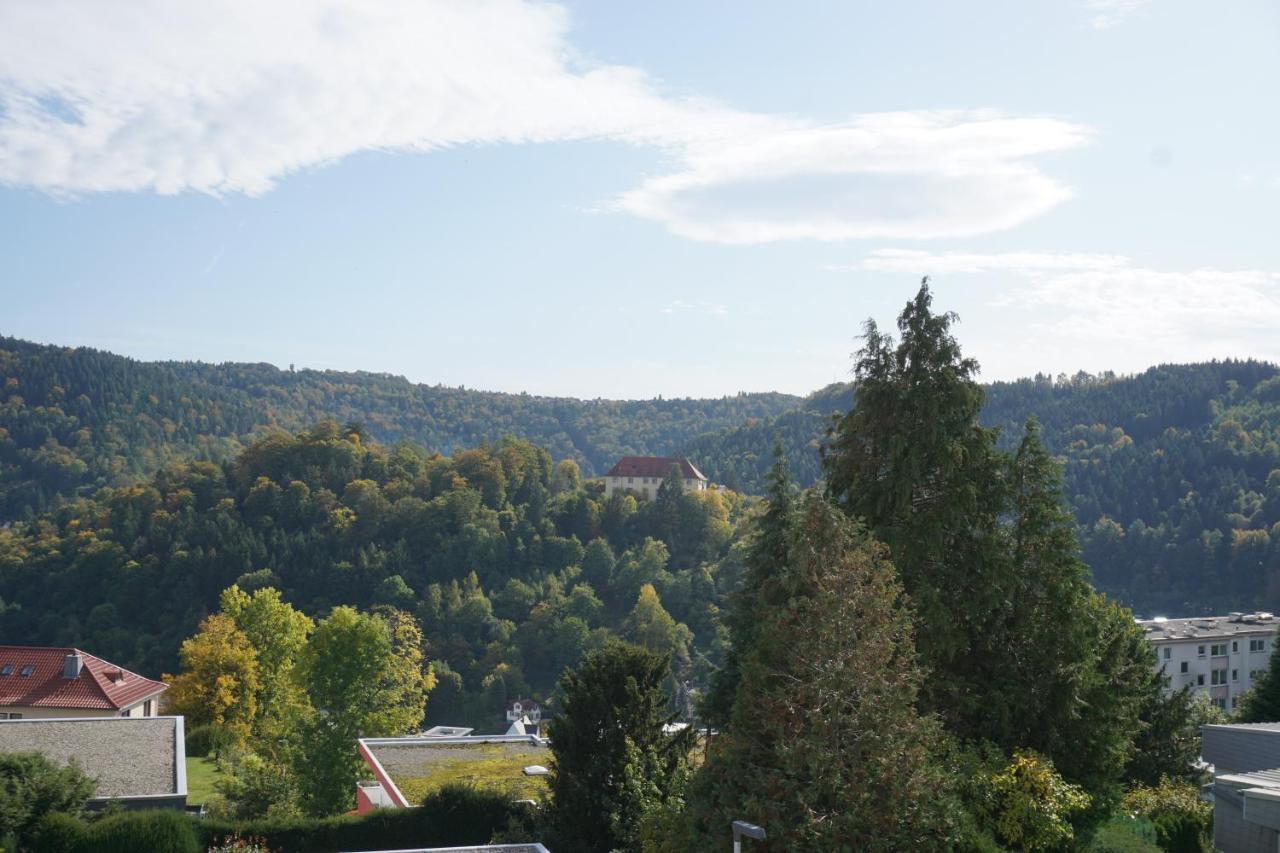 Ferienwohnung Schauinsland Neuenburg  Eksteriør bilde
